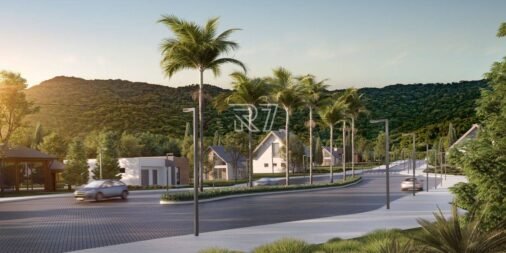 01_142a89b2ed5a58a1f6785ba45b7900bf