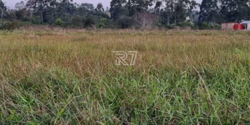 03_f3f6d8fc842a24f93850166079bccf71