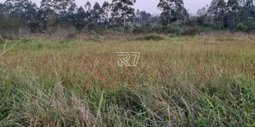 04_47bdda292975d23523bff84bb39087e9