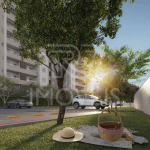 Aruba Beach Club (6)